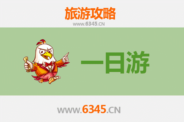 白沙牙叉镇自驾一日游攻略：探秘雨林深处的黎乡秘境