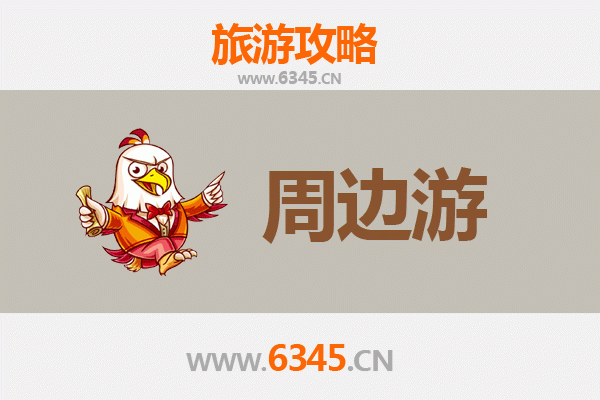 白沙邦溪农场周边游攻略：探秘热带田园与黎族文化之旅