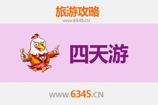 海南白沙四天三夜深度游攻略：雨林探秘与黎族文化体验